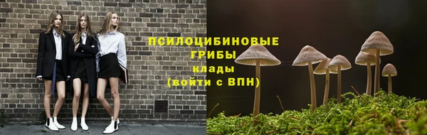 а пвп мука Медногорск