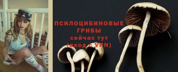 таблы Магас