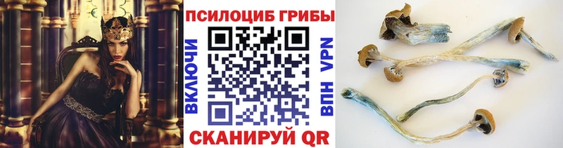 Купить закладки  Лабинск  Галлюциногенные грибы MAGIC MUSHROOMS 